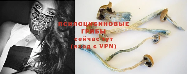 прущая мука Осинники