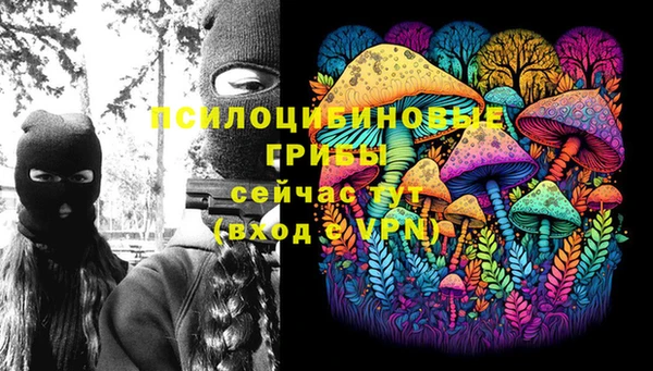 сатива Остров