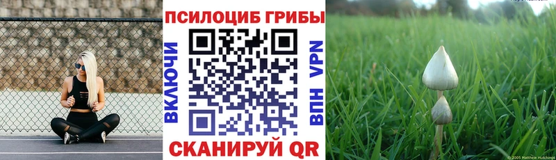 Купить  Углегорск  Галлюциногенные грибы прущие грибы 